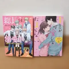 総長さま、溺愛中につきSPECIAL、キミが可愛くてたまらない。あいら2冊セット
