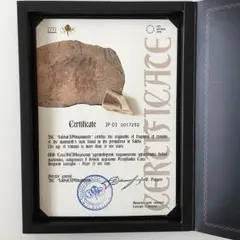 マンモスの骨　愛・地球博　ポストカード レア当時物 愛地球博オフィシャルグッズ「冷凍マンモス 立体