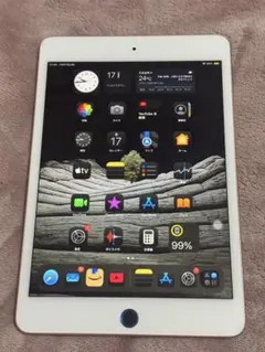 iPad mini 第5世代 64G Wi-Fi ピンクゴールド
