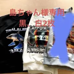 新品イタリアンブレインロットトレーナー 3点セット（トラ、カプチーノ）