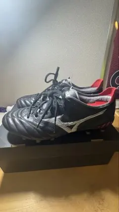 ミズノモレリアネオ3