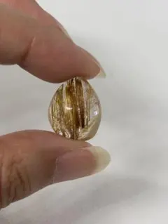 マッコウ鯨 牙玉 鯨歯玉 標本 緒締 根付 特大約19㎜ - メルカリ