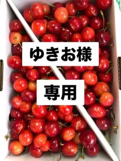 ゆきお様専用　さくらんぼ ナポレオン 2kg