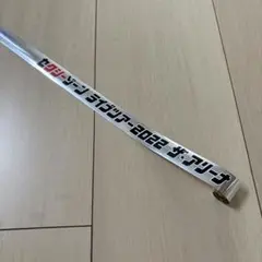 SexyZone セクゾ 2022ザ・アリーナ 銀テフル1本 timelesz