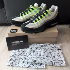 DENHAM × Nike Air Max 95 