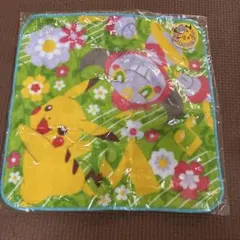 ピカチュウ ミジュマル イーブイ ご当地 ミニタオル ポケモンセンター