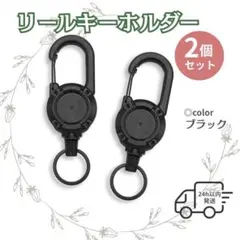 リールキーホルダー 2個 キーホルダー リールストラップ カラビナ 伸縮 黒