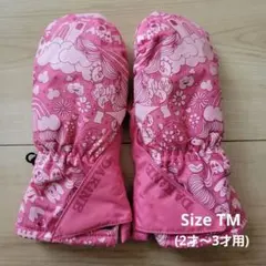 スノーグローブ 手袋