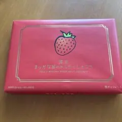 博多　まっかな苺のメルティショコラ