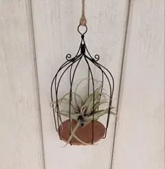 Item thumbnail for item 71d48a1c-749c-48d7-9e22-e1631bb846de