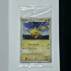 ポケモンカードゲーム ピカチュウ ポケモンだいすきクラブ Lv.23 プロモ ポケモンカードゲーム ピカチュウ ポケモンだいすきクラブ Lv.23