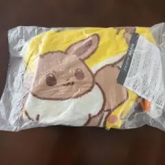 ミスド　ポケモン　福袋　ブランケット　ピカチュー　イーブイのサムネイル