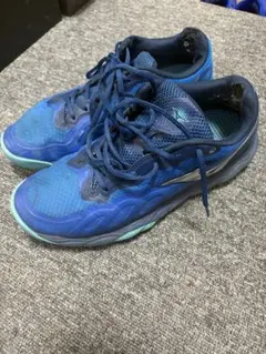 MIZUNO(ミズノ) ユニセックスのサムネイル