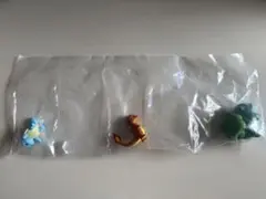 ポケモンスケールワールド　カントー　御三家