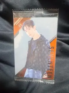 Item thumbnail for item 74fbe21c-6317-44da-b29f-256162ffa277