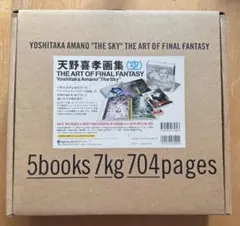 天野 喜孝、月神、無限の空の彼方から、希少な画集より、新品額装付