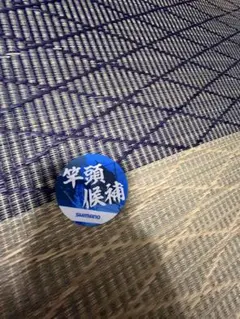 Item thumbnail for item 784a53a4-13a2-4d0f-aab0-458389aa3a19