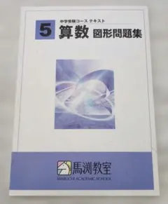 2026年最新】馬渕教室 小5の人気アイテム - メルカリ