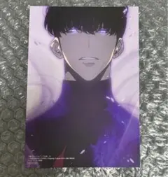 俺だけレベルアップな件 特典 イラストカード セット コミック 新刊 2026年最新】俺レベ 特典の人気アイテム - メルカリ