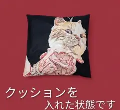 クッションカバー（オリジナルイラスト商品）コルナゴ