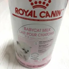 Item thumbnail for item 9fae3064-e918-45cb-af7b-bea041e6dea9