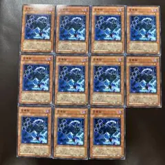 遊戯王　金華猫　11枚　まとめ売り　デッキパーツ