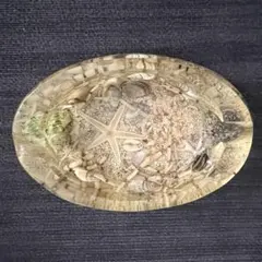 灰皿　透明　ガラス　シェル　レトロ　小物入れ　アシュトレイ