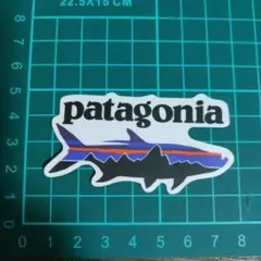 A31 防水ステッカー かっこいい  アウトドア パタゴニア Patagonia