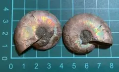 Item thumbnail for item 23184830-cee7-4d1d-a4b4-faf9d1200da4