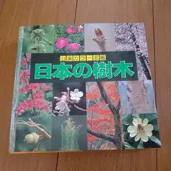 Woody Plants of Japan 日本の樹木値下げしました。