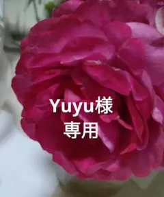 Yuyu様専用です。