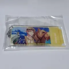 皇天馬/C賞/チケット風キーホルダー/A3/セガラッキーくじ