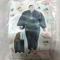 Item thumbnail for item 67e1c690-1f37-4a45-a5a4-f85b67c75440