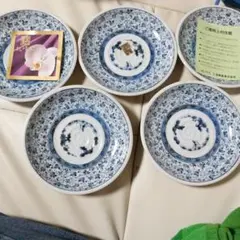 古伊万里唐草 皿 5枚セット 12.5cmのサムネイル