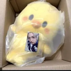 スキズ straykids フィリックス ポガリ ぬいぐるみ リュック ペンミ