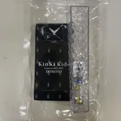 KinKi Kids⭐︎Concert⭐︎2024-2025⭐︎DOMOTOペンライトのサムネイル