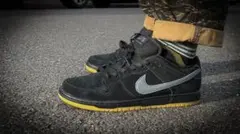 28cm新品NIKE SB Dunk Low Pro 