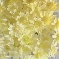 わぴよ様 リクエスト 5点 まとめ商品