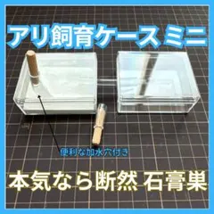 개미 사육 케이스 (미니) 먹이 장소 포함 (미니) [개미 둥지]