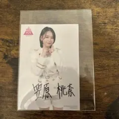 2026年最新】笠原桃奈 サインの人気アイテム - メルカリ