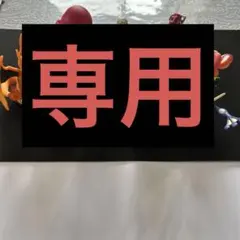 クロノ様専用　アミーボ amibo 4点