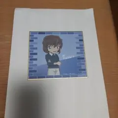 名探偵コナン 青山剛昌先生描き下ろし 複製原画色紙 100巻記念 灰原哀
