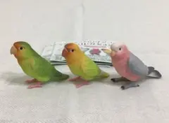 【未使用】 手のりインココレクション 3体セット インコ ミニチュア