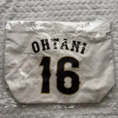 Item thumbnail for item 3d57095e-c2d1-4424-9d1d-a4cef0f9adf7