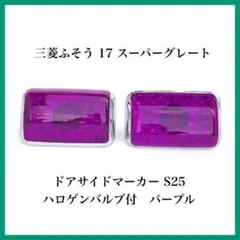 2 / 2 三菱ふそう 17 スーパーグレート ドアサイドマーカー S25のサムネイル