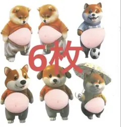 おなかぷにぷにシール 柴犬 マシュマロシール ぷくぷくシール6枚 3D 即曰発送