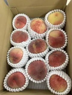 142.お買得福島産 朝採り完熟甘い桃 箱込み15kg訳あり家庭用　玉数おまかせ 646.お買得福島産 朝採り完熟甘い桃 箱込み3kg訳あり家庭用 玉数