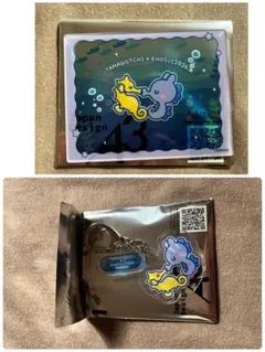 えのすい たまごっち　たちゅっち　アクリルカード　キーホルダー　セット　えのたま