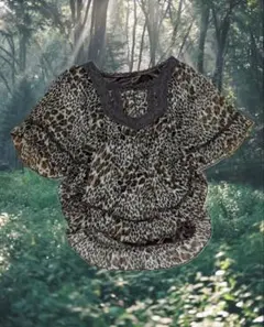 Item thumbnail for item 952ca423-2e44-469f-8274-95ed4fc1bf19