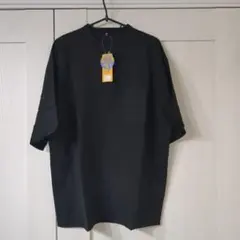 Item thumbnail for item e6584b08-9bf2-42e9-8508-e9e64114b20f